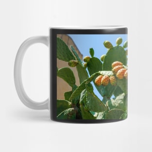 Orange fruits of Opuntia ficus-indica (prickly pear) Mug